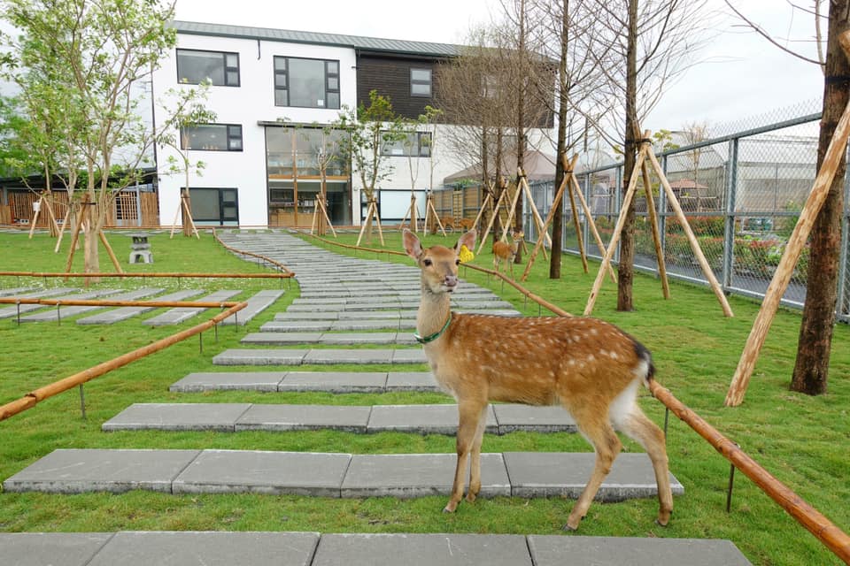 ◇台北◇桃園出發》虎牌米粉x張美阿嬤農場x宜蘭餅發明館(團體包團)