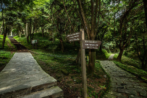 ◇台北出發》東眼山國家森林遊樂區x大溪老街x葡萄王健康活力能量館(團體包團)