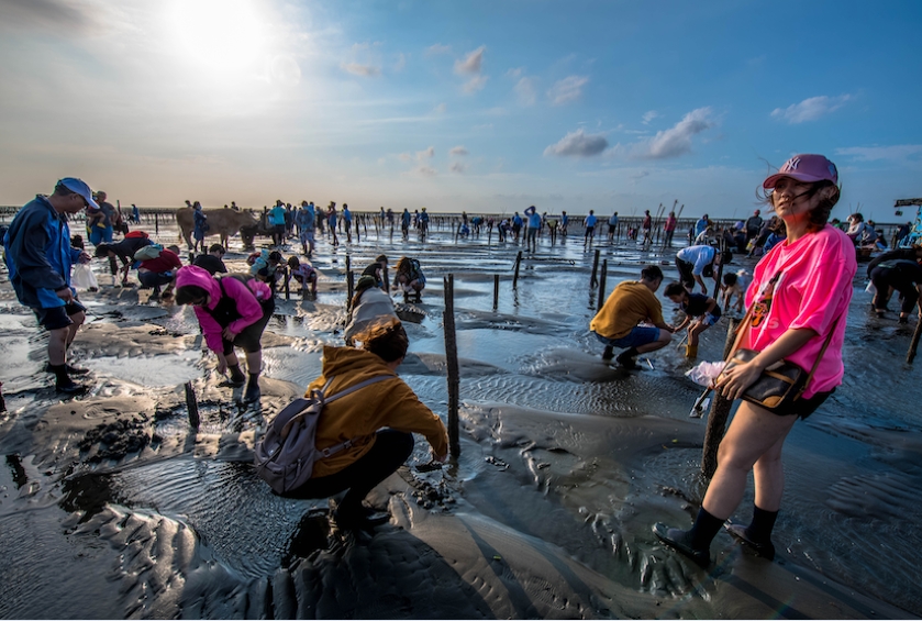 ◇台北◇桃園出發》王功採蚵x鹿港老街(團體包團)